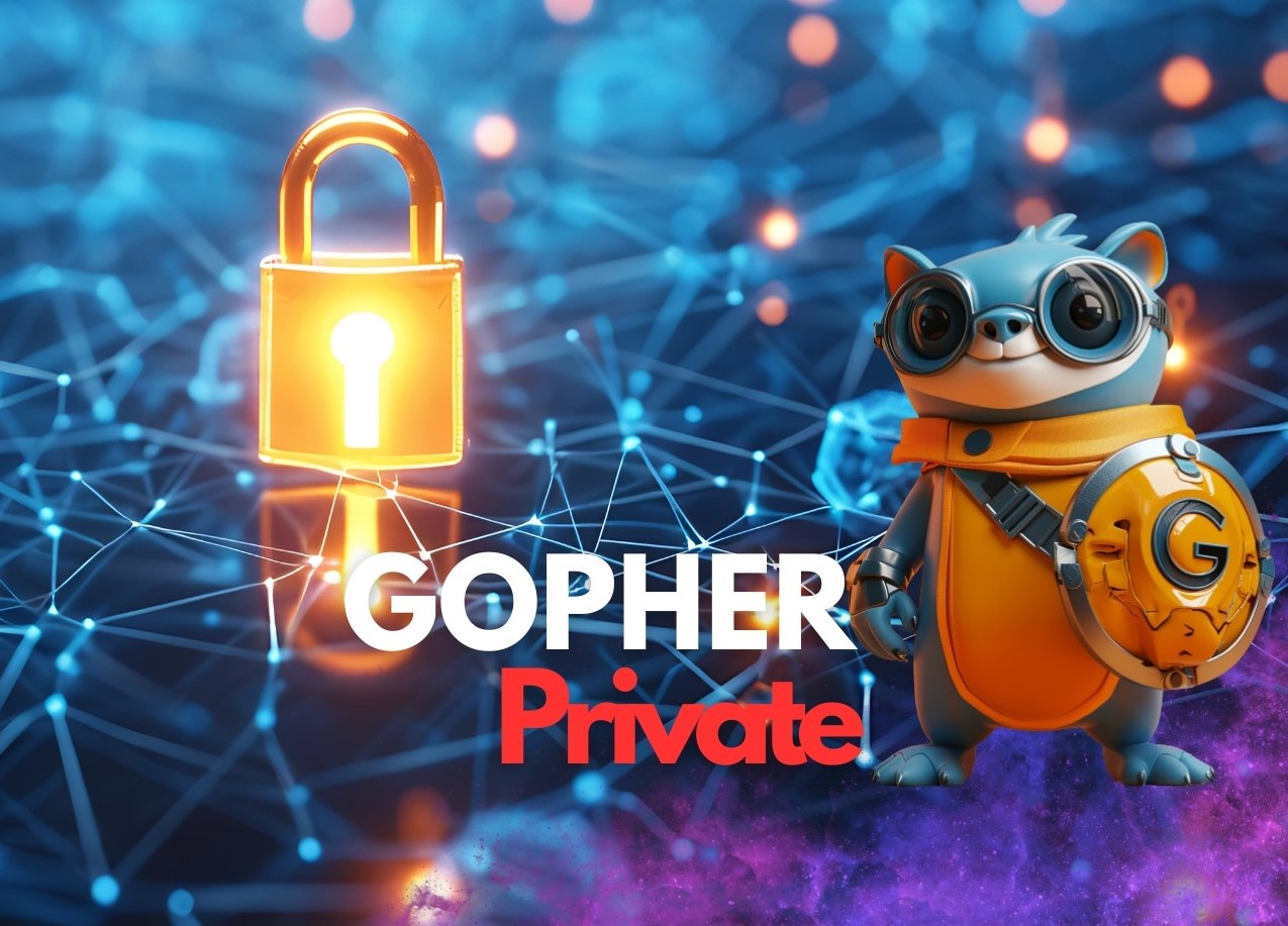 Gopher Private: Redefining Enterprise Private Networks with Superior Security and Performance