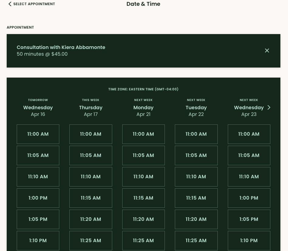 Acuity Scheduling Interface