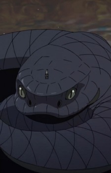 Aoda headshot