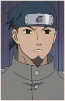 Tatami, Iwashi headshot