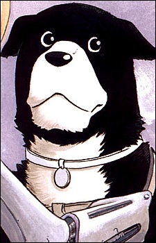 Rockbell, Den headshot