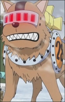 Taroimo headshot
