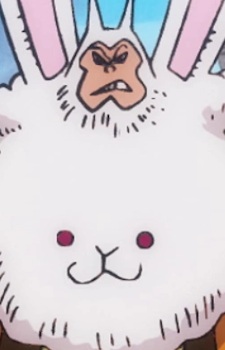 Rabbitman headshot