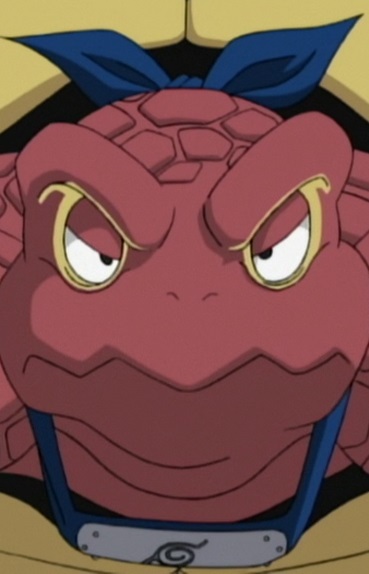 Ninkame headshot