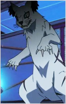 Nekomata headshot