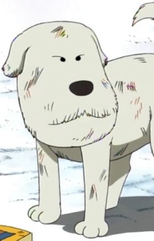 Chouchou headshot