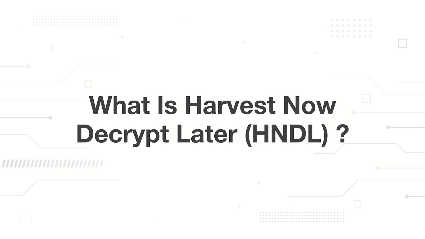 Global Enterprises Accelerate PQC Migration Strategies to Counter Harvest Now Decrypt Later Quantum Threats